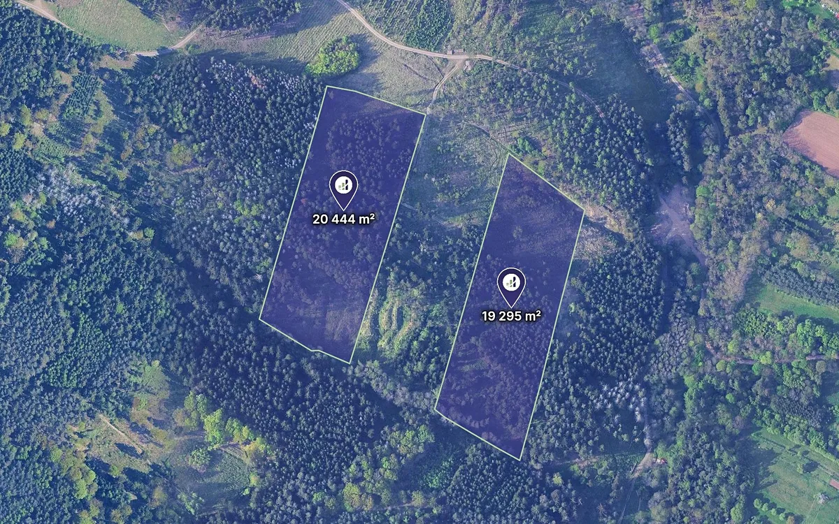 Prodej lesa 39739 m²